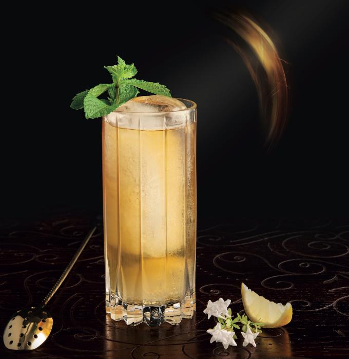 Beehive - Cocktail Classics Sipster Highball